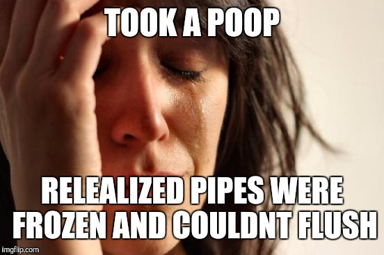 First World Problems Meme | TOOK A POOP RELEALIZED PIPES WERE FROZEN AND COULDNT FLUSH | image tagged in memes,first world problems | made w/ Imgflip meme maker