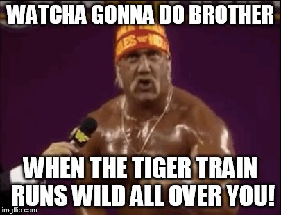 WATCHA GONNA DO BROTHER WHEN THE TIGER TRAIN RUNS WILD ALL OVER YOU! | made w/ Imgflip meme maker