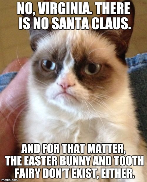 Grumpy Cat Meme | NO, VIRGINIA. THERE IS NO SANTA CLAUS. AND FOR THAT MATTER, THE EASTER BUNNY AND TOOTH FAIRY DON'T EXIST, EITHER. | image tagged in memes,grumpy cat | made w/ Imgflip meme maker