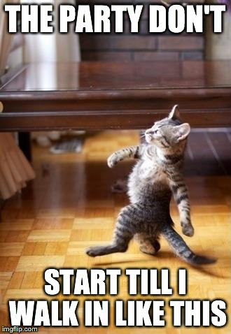 Cool Cat Stroll Meme | THE PARTY DON'T START TILL I WALK IN LIKE THIS | image tagged in memes,cool cat stroll | made w/ Imgflip meme maker