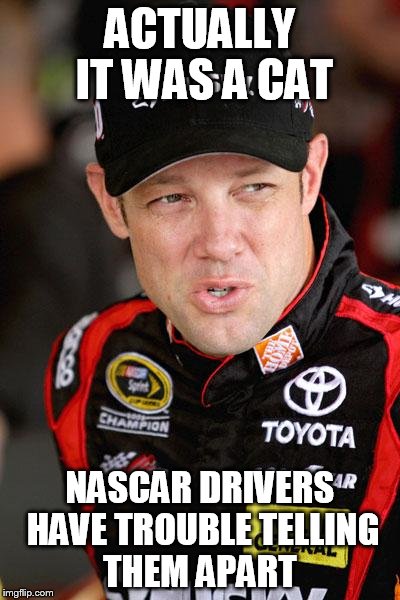 Matt Kenseth So... | ACTUALLY IT WAS A CAT NASCAR DRIVERS HAVE TROUBLE TELLING THEM APART | image tagged in matt kenseth so | made w/ Imgflip meme maker