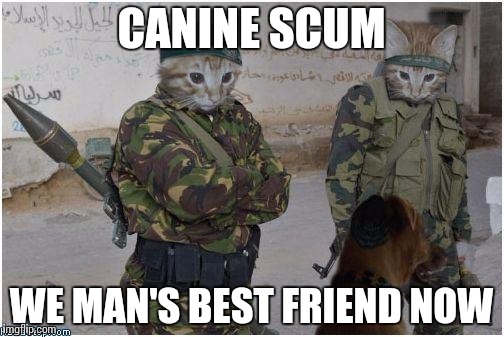 Soldier cats | CANINE SCUM WE MAN'S BEST FRIEND NOW | image tagged in soldier cats | made w/ Imgflip meme maker