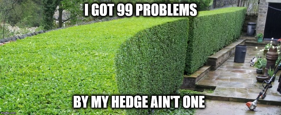 99 problems | I GOT 99 PROBLEMS BY MY HEDGE AIN'T ONE | image tagged in hedge,funny memes | made w/ Imgflip meme maker