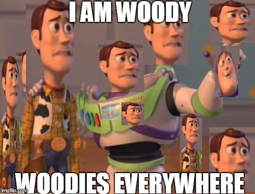 Paradoxes | I AM WOODY WOODIES EVERYWHERE | image tagged in memes,x x everywhere | made w/ Imgflip meme maker