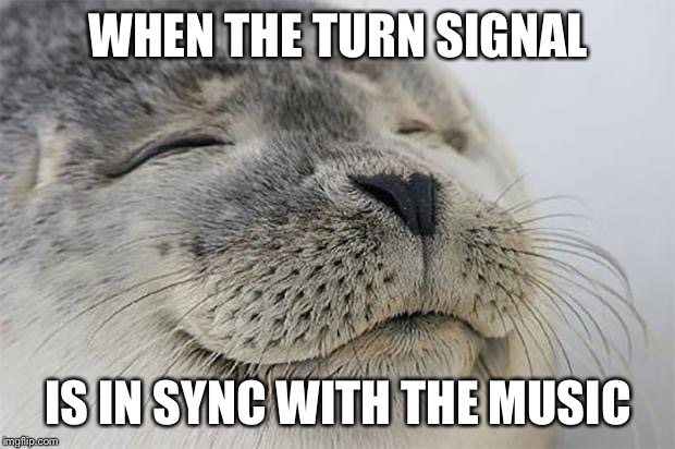 Satisfied Seal | WHEN THE TURN SIGNAL IS IN SYNC WITH THE MUSIC | image tagged in memes,satisfied seal,AdviceAnimals | made w/ Imgflip meme maker