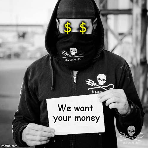 A minion working as a volunteer for the big money hungry Sea Shepherd  | $  $ We want your money | image tagged in ninja,sea shepherd,minion,hungry,opgrindini,standup250 | made w/ Imgflip meme maker
