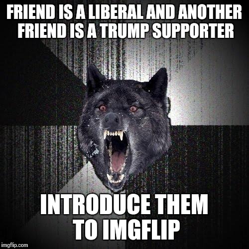 Insanity Wolf Meme | FRIEND IS A LIBERAL AND ANOTHER FRIEND IS A TRUMP SUPPORTER INTRODUCE THEM TO IMGFLIP | image tagged in memes,insanity wolf | made w/ Imgflip meme maker