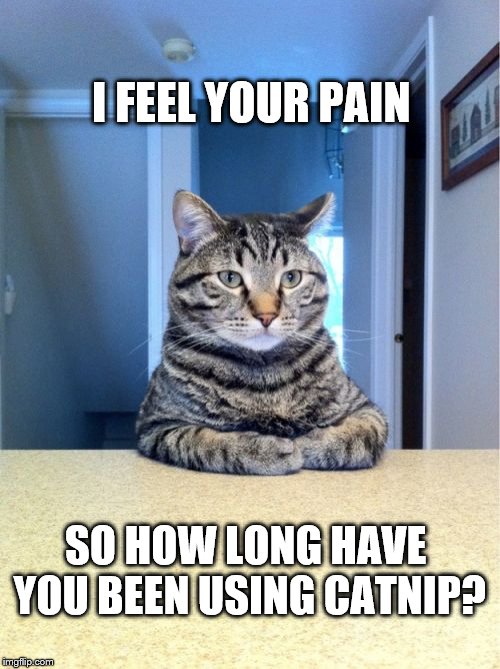 Therapy Cat | I FEEL YOUR PAIN SO HOW LONG HAVE YOU BEEN USING CATNIP? | image tagged in memes,take a seat cat,addiction,therapy,drugs | made w/ Imgflip meme maker
