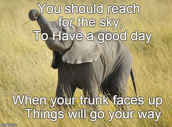 Uplifting Elephant | You should reach for the sky, To Have a good day When your trunk faces up Things will go your way | image tagged in elephant | made w/ Imgflip meme maker