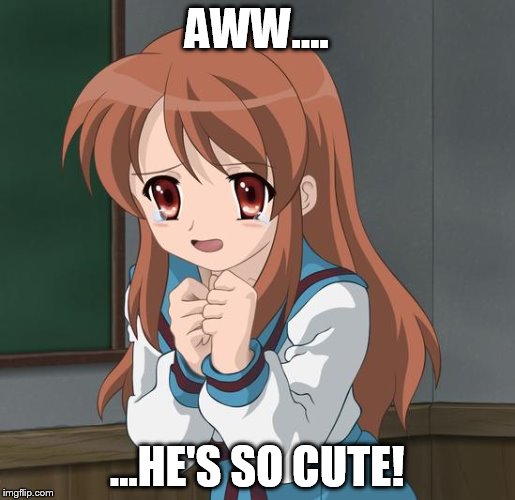 Mikuru Blush | AWW.... ...HE'S SO CUTE! | image tagged in mikuru blush | made w/ Imgflip meme maker