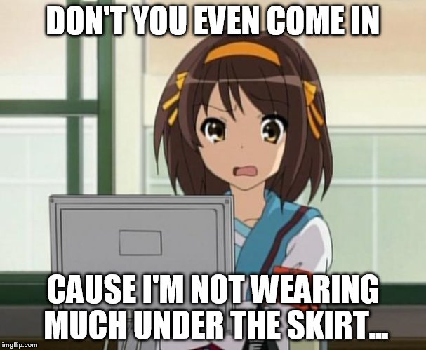 Haruhi Internet disturbed | DON'T YOU EVEN COME IN CAUSE I'M NOT WEARING MUCH UNDER THE SKIRT... | image tagged in haruhi internet disturbed | made w/ Imgflip meme maker