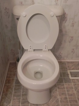toilet seat up Blank Meme Template