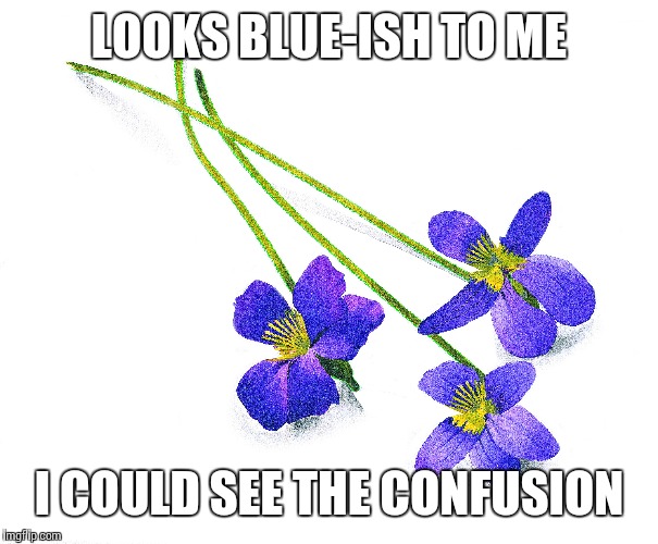 LOOKS BLUE-ISH TO ME I COULD SEE THE CONFUSION | made w/ Imgflip meme maker