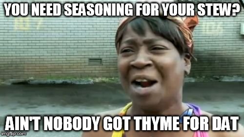 Ain't Nobody Got Time For That | YOU NEED SEASONING FOR YOUR STEW? AIN'T NOBODY GOT THYME FOR DAT | image tagged in memes,aint nobody got time for that | made w/ Imgflip meme maker