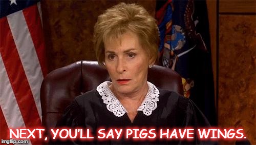 Judge Judy Unimpressed | NEXT, YOU’LL SAY PIGS HAVE WINGS. | image tagged in judge judy unimpressed | made w/ Imgflip meme maker