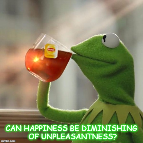 But That's None Of My Business | CAN HAPPINESS BE DIMINISHING OF UNPLEASANTNESS? | image tagged in memes,but thats none of my business,kermit the frog | made w/ Imgflip meme maker