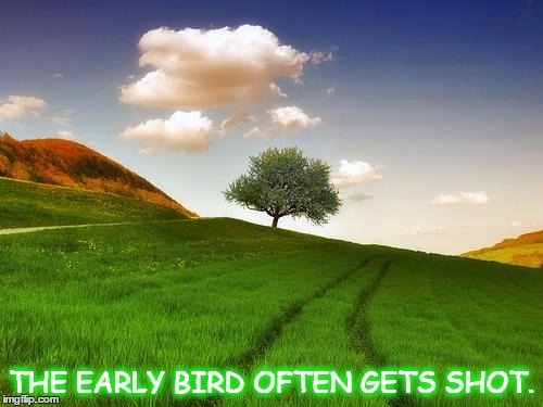 Beautiful Life | THE EARLY BIRD OFTEN GETS SHOT. | image tagged in beautiful life | made w/ Imgflip meme maker