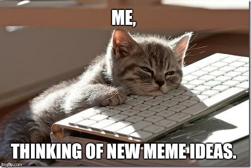 Today's day is really tiring.  | ME, THINKING OF NEW MEME IDEAS. | image tagged in bored keyboard cat | made w/ Imgflip meme maker