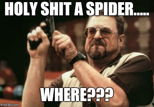 Am I The Only One Around Here | HOLY SHIT A SPIDER..... WHERE??? | image tagged in memes,am i the only one around here | made w/ Imgflip meme maker
