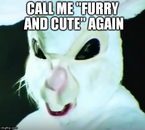 furry and cute bunny | CALL ME "FURRY AND CUTE" AGAIN | image tagged in bunny,cute,furry,evil,mean | made w/ Imgflip meme maker