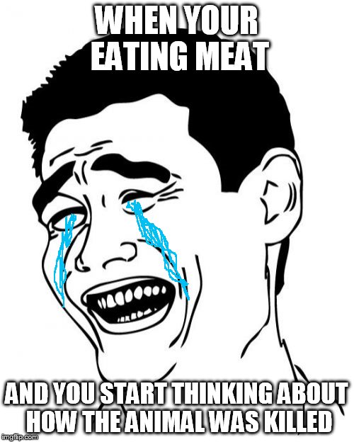 Yao Ming Meme | WHEN YOUR EATING MEAT AND YOU START THINKING ABOUT HOW THE ANIMAL WAS KILLED | image tagged in memes,yao ming | made w/ Imgflip meme maker