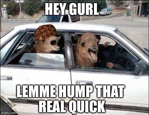 this is what ur homeboys act like on Saturday nights | HEY GURL LEMME HUMP THAT REAL QUICK | image tagged in memes,quit hatin,scumbag | made w/ Imgflip meme maker