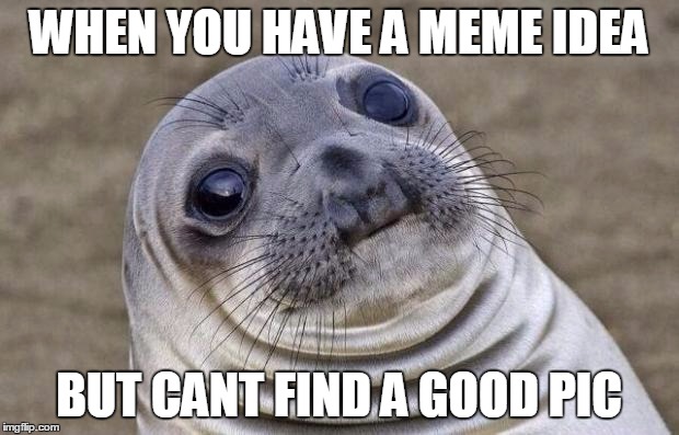 Awkward Moment Sealion | WHEN YOU HAVE A MEME IDEA BUT CANT FIND A GOOD PIC | image tagged in memes,awkward moment sealion | made w/ Imgflip meme maker