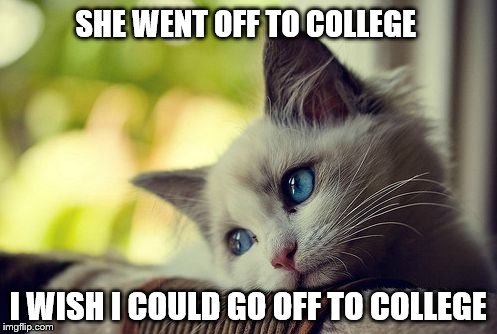 First World Problems Cat | SHE WENT OFF TO COLLEGE I WISH I COULD GO OFF TO COLLEGE | image tagged in memes,first world problems cat | made w/ Imgflip meme maker