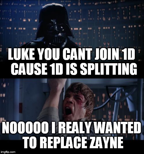 Star Wars No Meme | LUKE YOU CANT JOIN 1D  CAUSE 1D IS SPLITTING NOOOOO I REALY WANTED TO REPLACE ZAYNE | image tagged in memes,star wars no | made w/ Imgflip meme maker