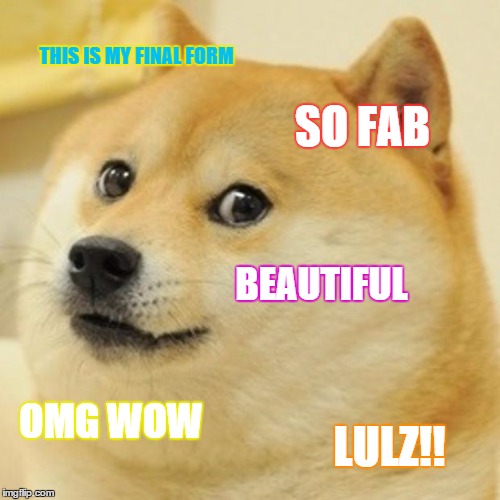 Doge Meme | THIS IS MY FINAL FORM SO FAB BEAUTIFUL OMG WOW LULZ!! | image tagged in memes,doge | made w/ Imgflip meme maker