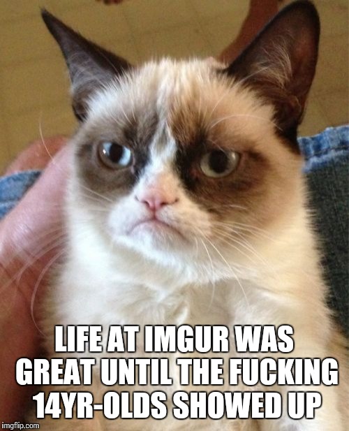 Grumpy Cat Meme | LIFE AT IMGUR WAS GREATUNTIL THE F**KING 14YR-OLDS SHOWED UP | image tagged in memes,grumpy cat | made w/ Imgflip meme maker