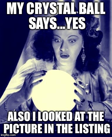 Crystal Ball | MY CRYSTAL BALL SAYS...YES ALSO I LOOKED AT THE PICTURE IN THE LISTING | image tagged in crystal ball | made w/ Imgflip meme maker