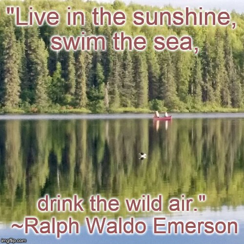 "Live in the sunshine, swim the sea, drink the wild air." ~Ralph Waldo Emerson | image tagged in bald lake | made w/ Imgflip meme maker