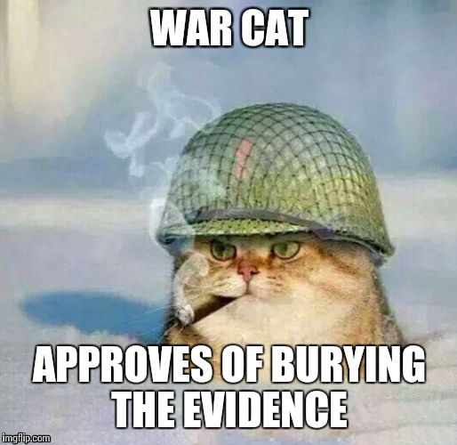 War Cat | WAR CAT APPROVES OF BURYING THE EVIDENCE | image tagged in war cat | made w/ Imgflip meme maker