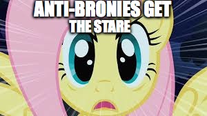 Fluttershy stare | ANTI-BRONIES GET THE STARE | image tagged in fluttershy stare | made w/ Imgflip meme maker