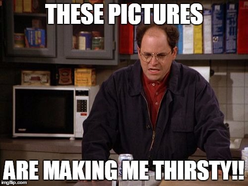 Making Me Thirsty George Costanza | THESE PICTURES ARE MAKING ME THIRSTY!! | image tagged in making me thirsty george costanza,AdviceAnimals | made w/ Imgflip meme maker
