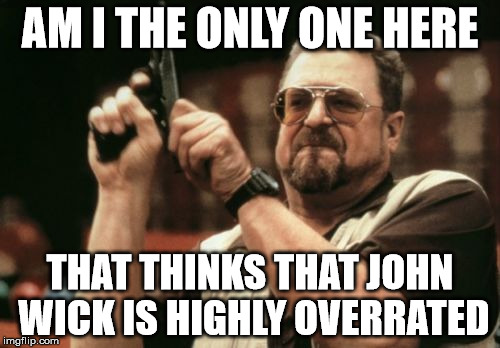 Am I The Only One Around Here Meme | AM I THE ONLY ONE HERE THAT THINKS THAT JOHN WICK IS HIGHLY OVERRATED | image tagged in memes,am i the only one around here | made w/ Imgflip meme maker