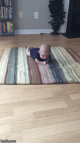 Rolling! | image tagged in gifs | made w/ Imgflip video-to-gif maker