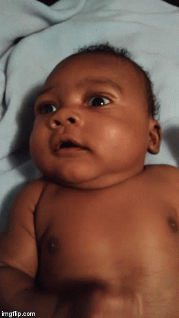 Ares Xavier Gibbs | image tagged in gifs | made w/ Imgflip video-to-gif maker