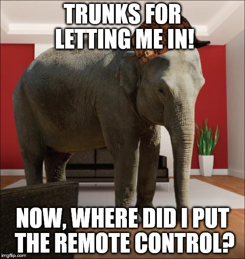 Elephant In The Room | TRUNKS FOR LETTING ME IN! NOW, WHERE DID I PUT THE REMOTE CONTROL? | image tagged in elephant in the room,scumbag | made w/ Imgflip meme maker