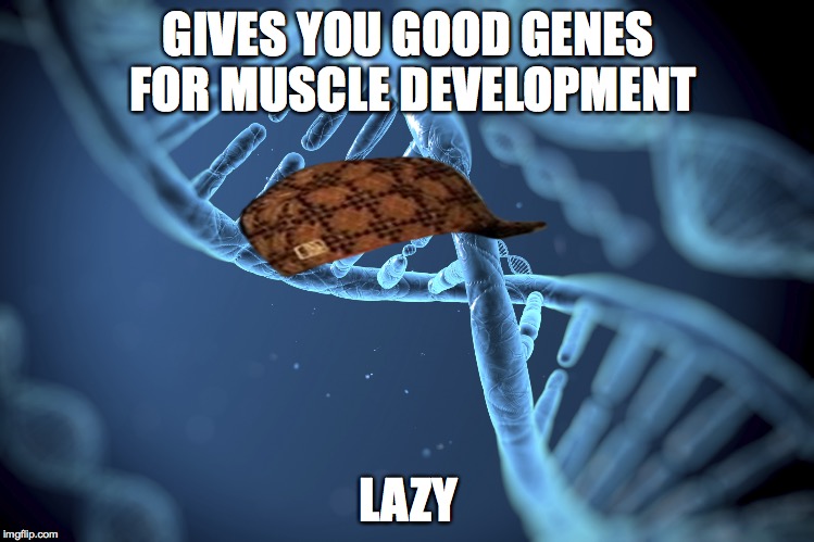 GIVES YOU GOOD GENES FOR MUSCLE DEVELOPMENT LAZY | image tagged in terrible genes,scumbag | made w/ Imgflip meme maker