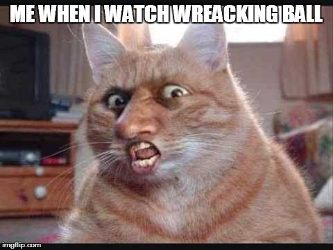 I was young so i didn't know she was doing XD  | ME WHEN I WATCH WREACKING BALL | image tagged in furry,gross,wrecking ball | made w/ Imgflip meme maker