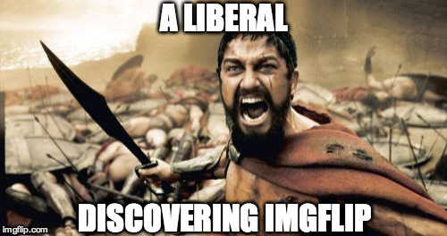 Sparta Leonidas Meme | A LIBERAL DISCOVERING IMGFLIP | image tagged in memes,sparta leonidas | made w/ Imgflip meme maker