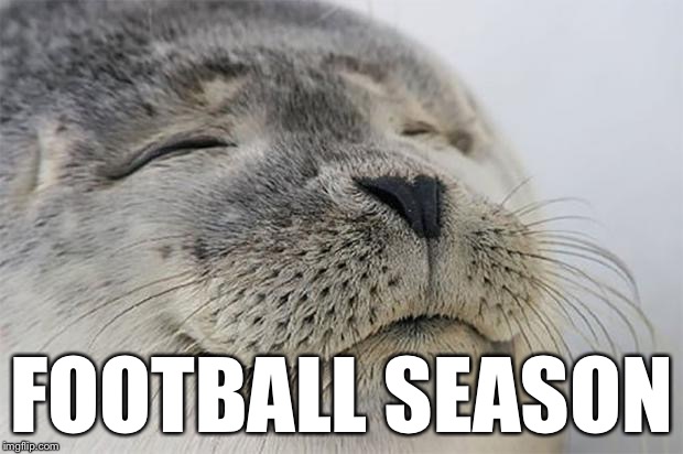 Game On | FOOTBALL SEASON | image tagged in memes,satisfied seal,meme,funny memes,nfl,football | made w/ Imgflip meme maker