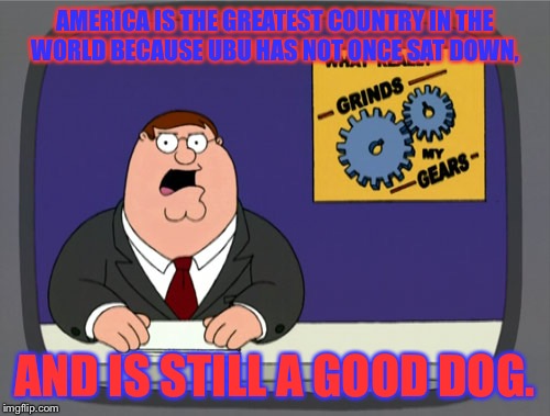 Peter Griffin News Meme | AMERICA IS THE GREATEST COUNTRY IN THE WORLD BECAUSE UBU HAS NOT ONCE SAT DOWN, AND IS STILL A GOOD DOG. | image tagged in memes,peter griffin news | made w/ Imgflip meme maker