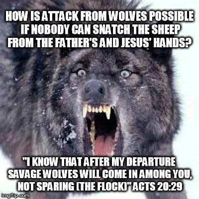 Angry Wolf | HOW IS ATTACK FROM WOLVES POSSIBLE IF NOBODY CAN SNATCH THE SHEEP FROM THE FATHER'S AND JESUS' HANDS? "I KNOW THAT AFTER MY DEPARTURE SAVAGE | image tagged in angry wolf | made w/ Imgflip meme maker