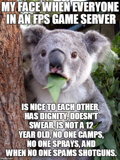 There's very few left nowadays, and I fear, there will be none left! | MY FACE WHEN EVERYONE IN AN FPS GAME SERVER IS NICE TO EACH OTHER, HAS DIGNITY, DOESN'T SWEAR, IS NOT A 12 YEAR OLD, NO ONE CAMPS, NO ONE SP | image tagged in shocked koala | made w/ Imgflip meme maker
