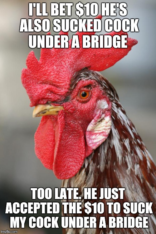 I'LL BET $10 HE'S ALSO SUCKED COCK UNDER A BRIDGE TOO LATE. HE JUST ACCEPTED THE $10 TO SUCK MY COCK UNDER A BRIDGE | made w/ Imgflip meme maker