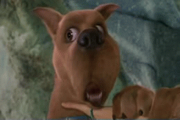 Scooby Stoner | LIKE WOW | image tagged in gifs,trees | made w/ Imgflip video-to-gif maker