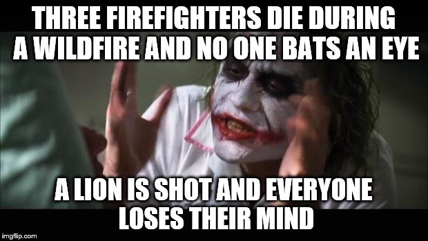 And everybody loses their minds Meme | THREE FIREFIGHTERS DIE DURING A WILDFIRE AND NO ONE BATS AN EYE A LION IS SHOT AND EVERYONE LOSES THEIR MIND | image tagged in memes,and everybody loses their minds | made w/ Imgflip meme maker